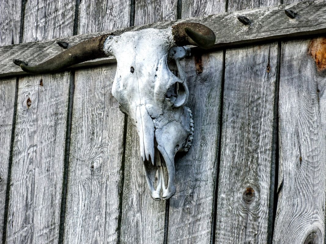 Гросс Раден