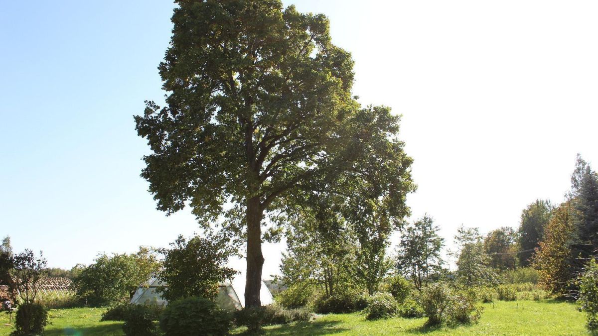 Винный хутор Яристе