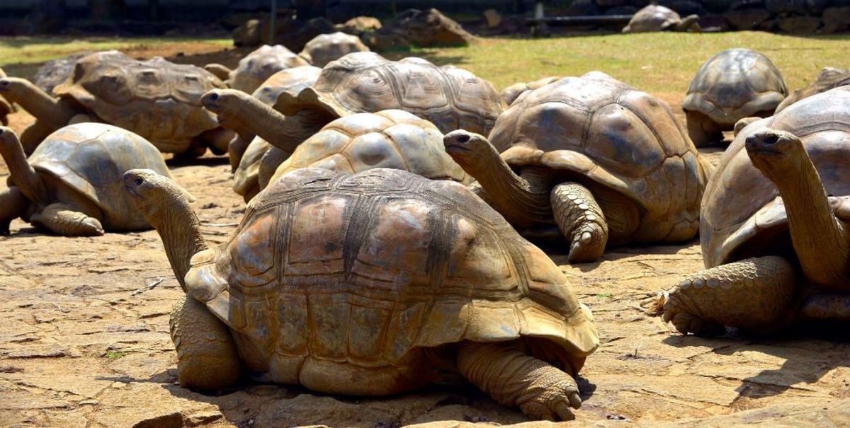 Заповедник Ла Ваніль