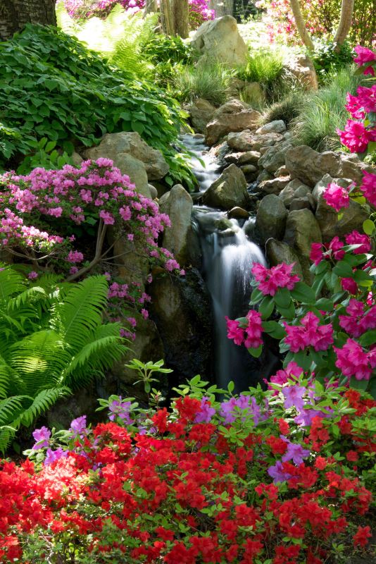 Пражский ботанический сад и оранжерея Fata Morgana