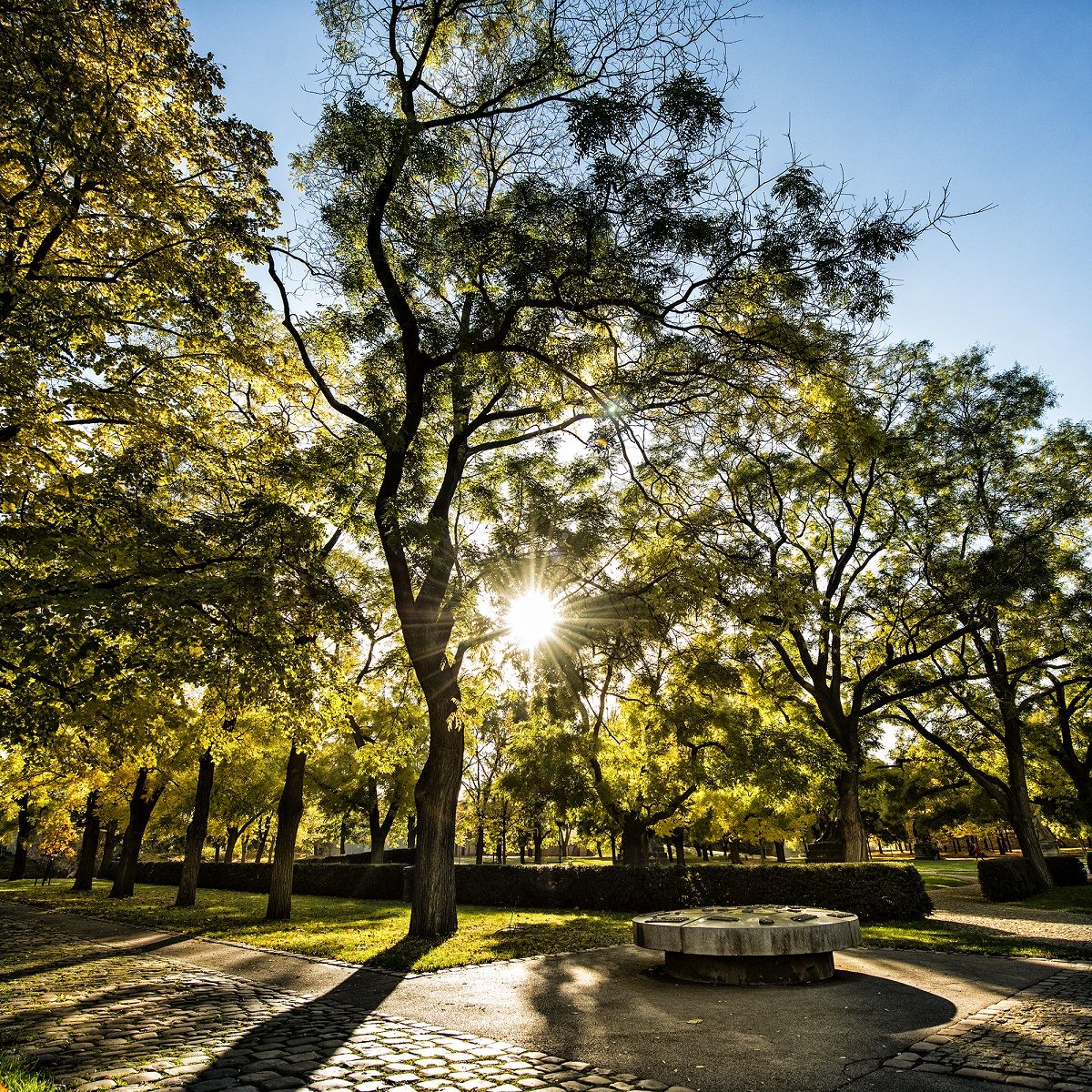 Вышеградские сады