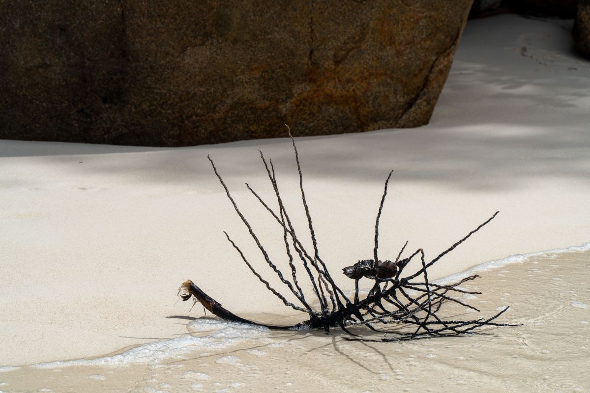 Пляж Анс Интенданс