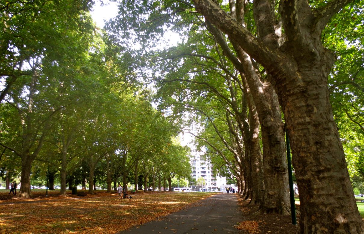 Королевский выставочный центр и Карлтонские сады