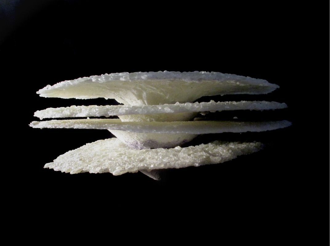 Лаугуская стеклодувная мастерская