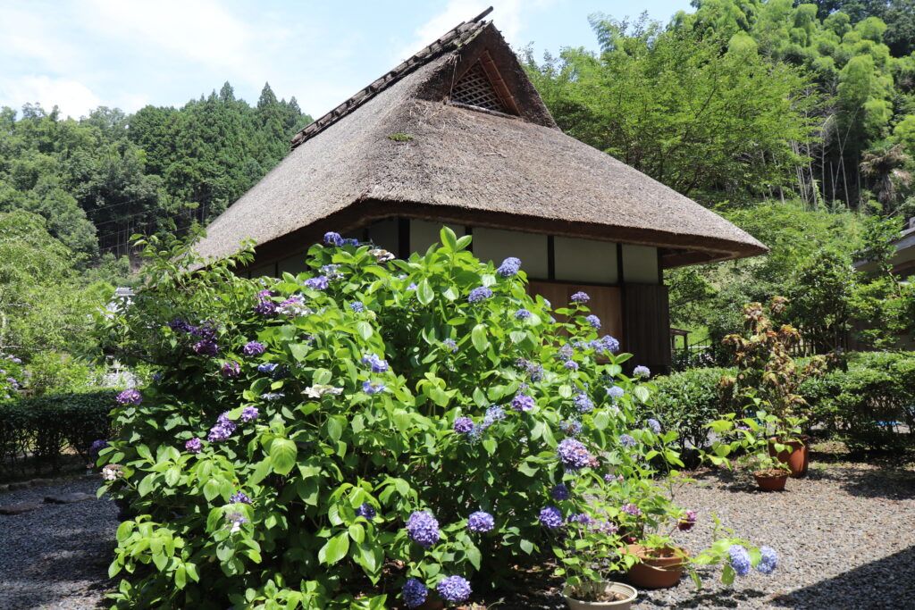 Место рождения Нагатани Суэн