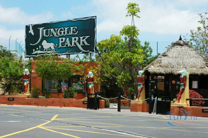 Джунгли Парк (Парк Орлов)