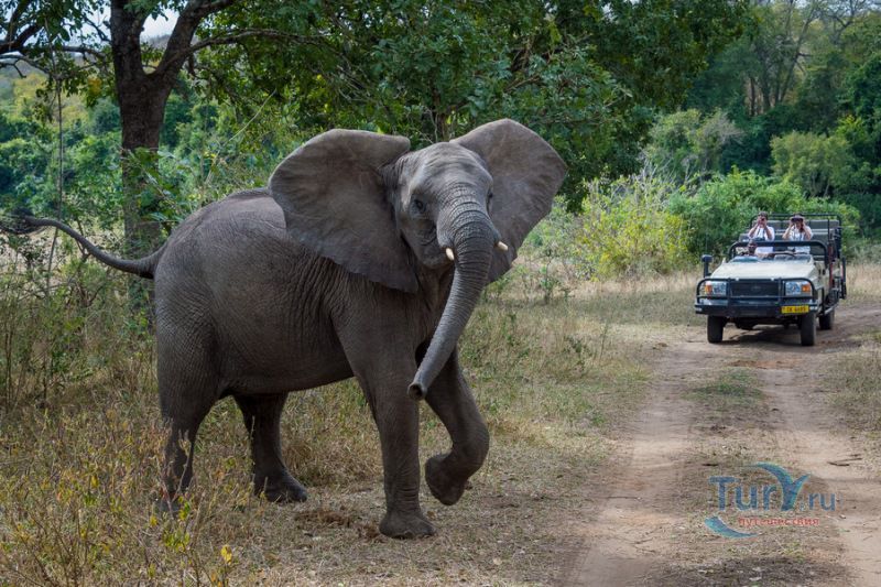Заповедник Маджете