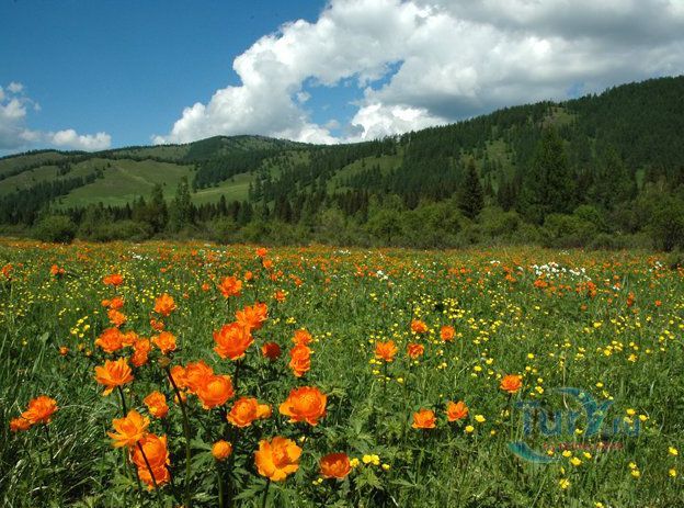 Семинский перевал