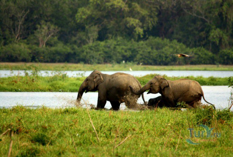 Национальный Парк Лахугала Китулана