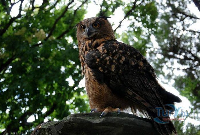 Замок Святого Георгия