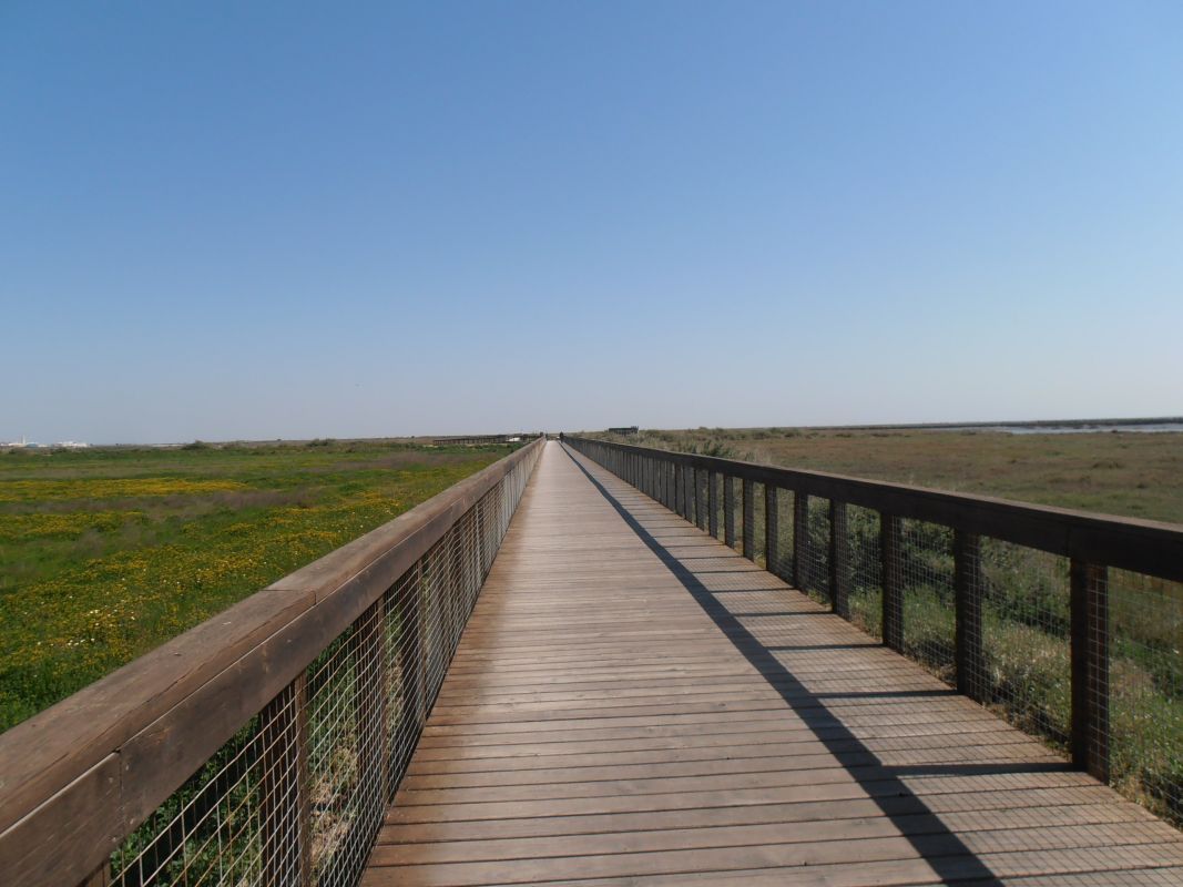 Линейный парк Рибейринью-ду-Эстуариу-ду-Тежу