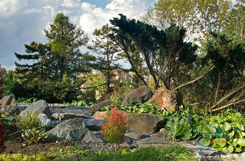 Ботанический сад-институт Дальневосточного отделения Российской академии наук