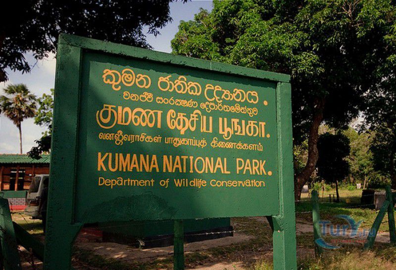 Национальный Парк Кумана (бывший Национальный Парк Восточный Яла)