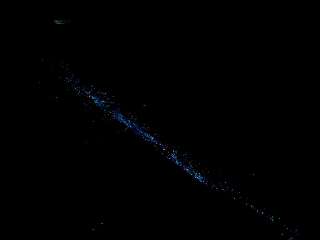 Маафуши Планктон Бич