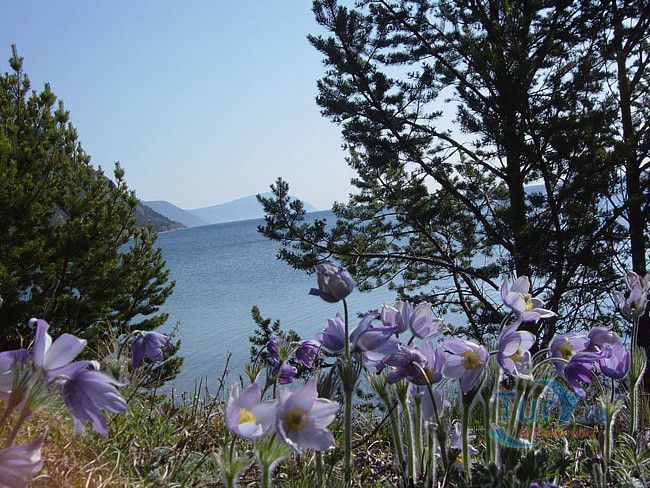 Забайкальский Национальный парк
