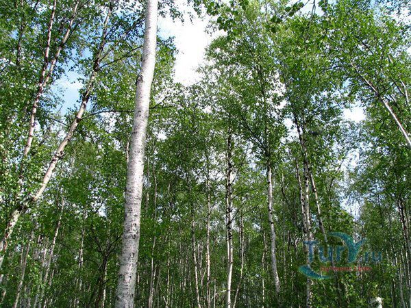 Заповедник Пасвик