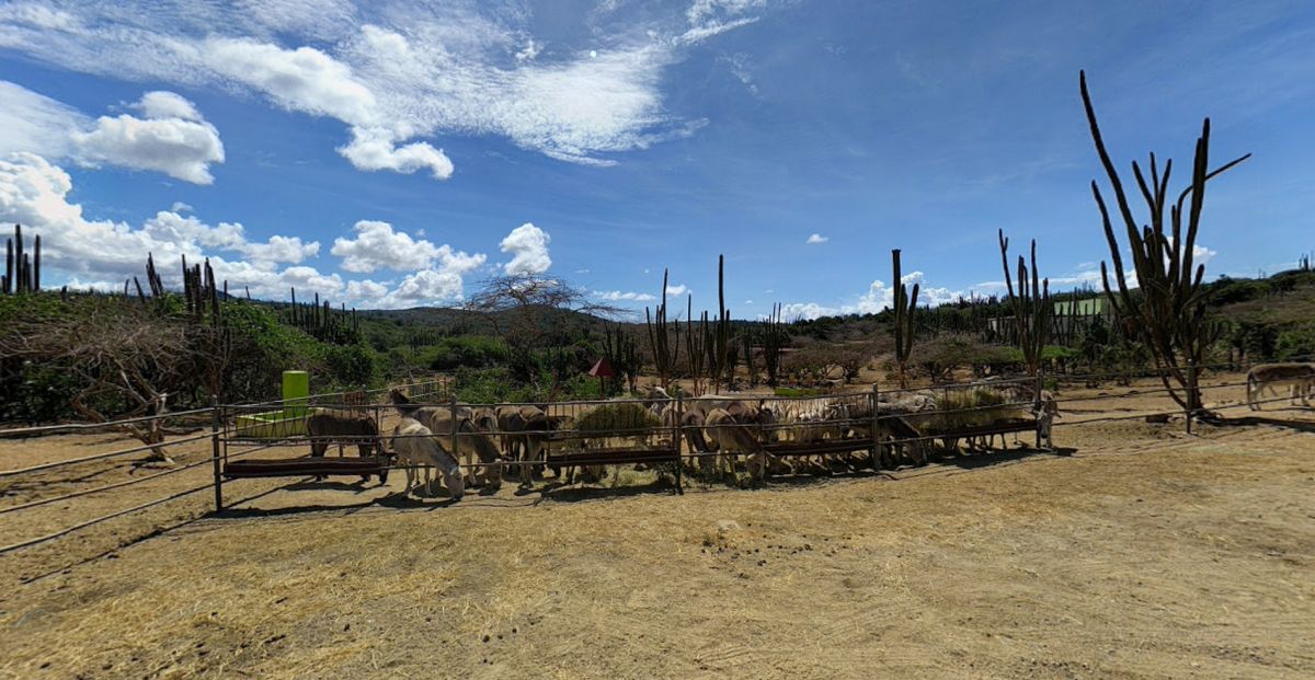 Ослиный Заповедник