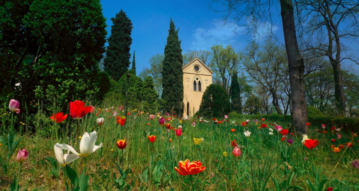 Парк Сады Сигурта