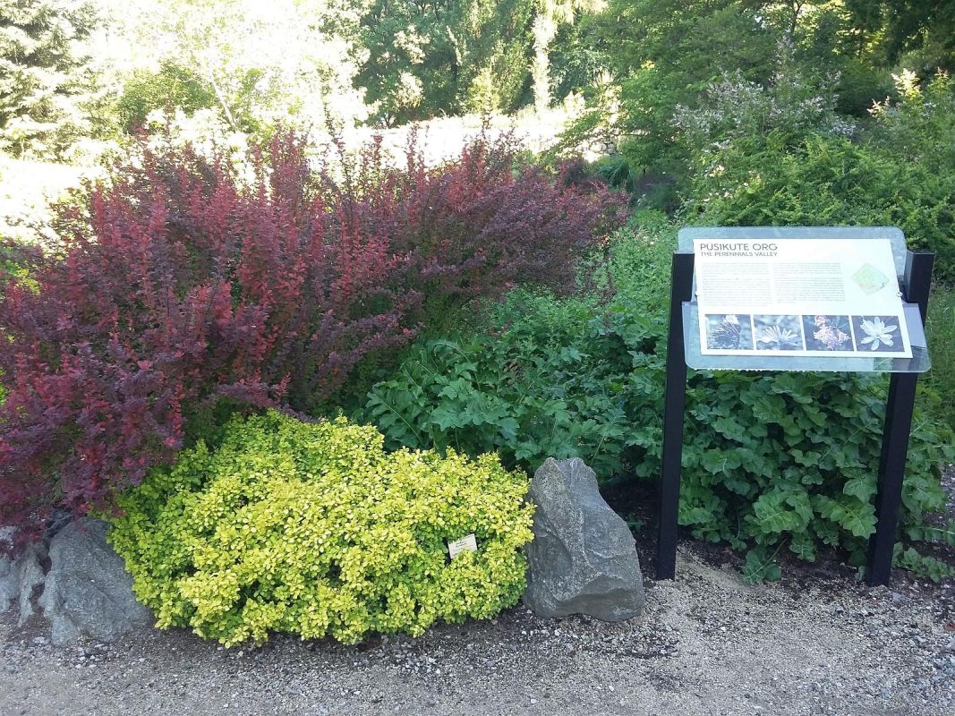 Ботанический сад Тартуского университета