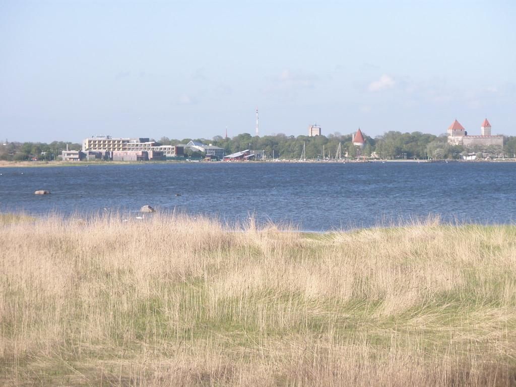 Башня для наблюдения за природой и птицами в дубраве Лооде