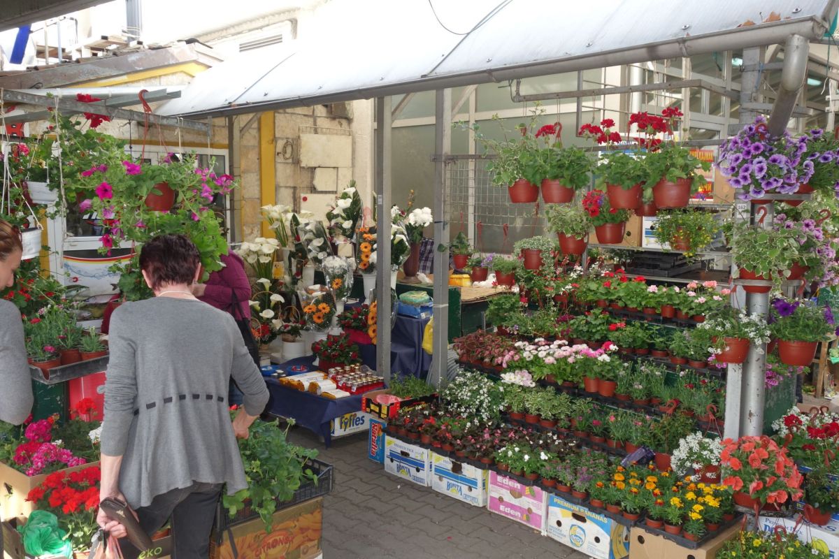 Рынок Футошка