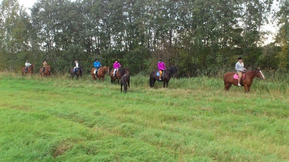 Хутор Калаоя