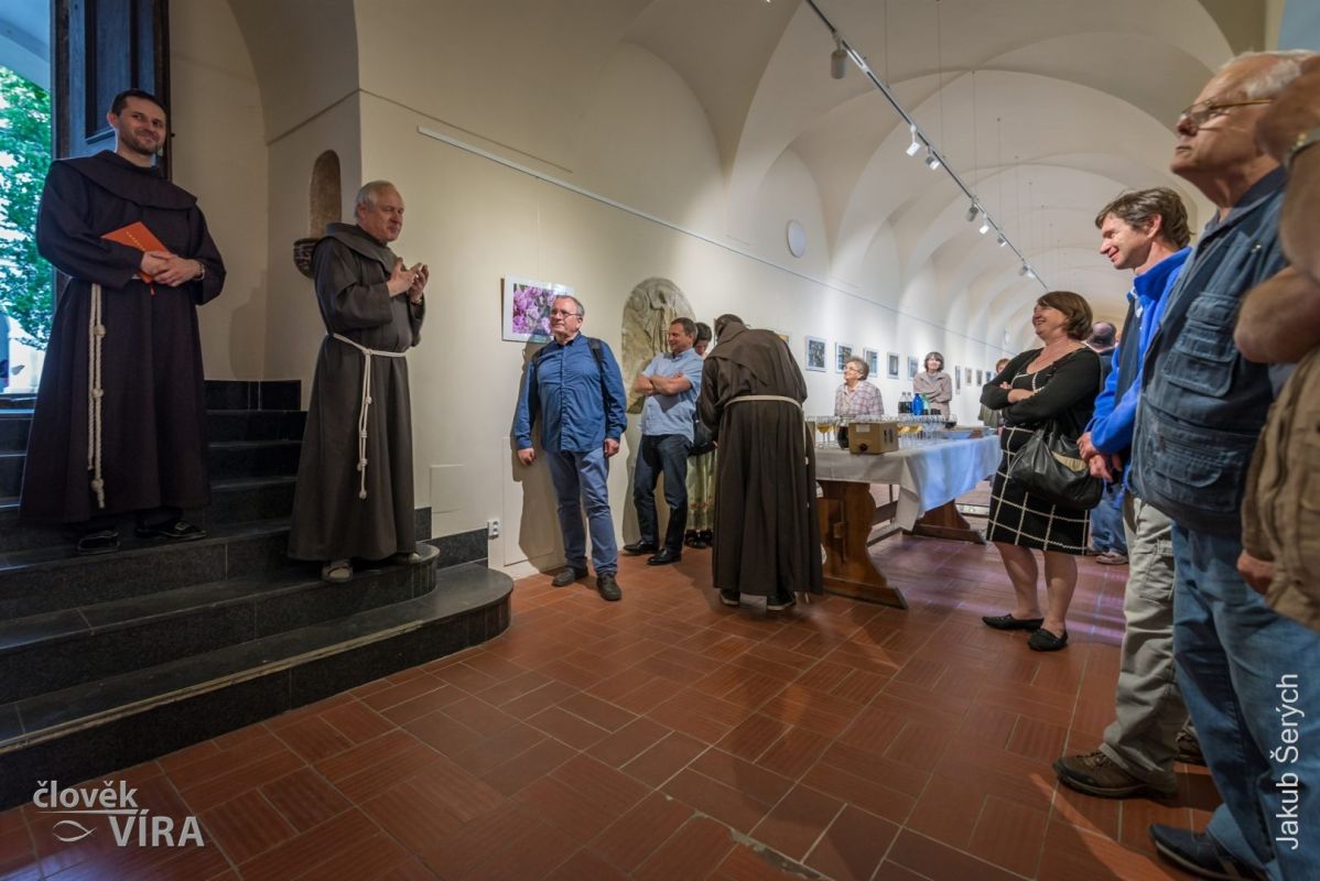 Галерея Ambit