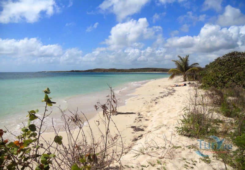 Плайа Ла Чива