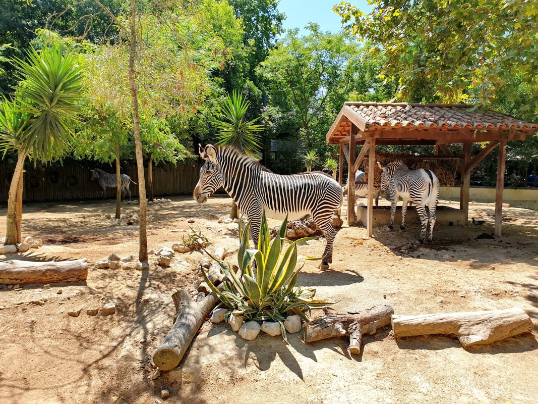 Лиссабонский зоопарк