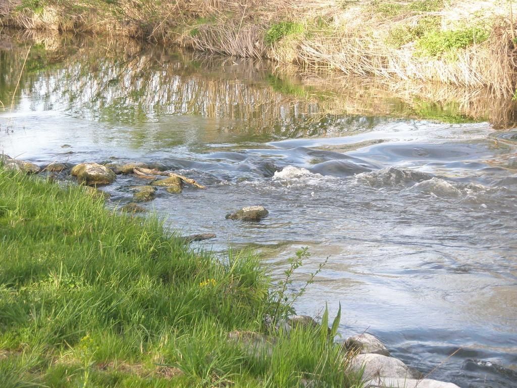 Смотровая вышка на лугу Пыдусте для наблюдения за природой и птицами