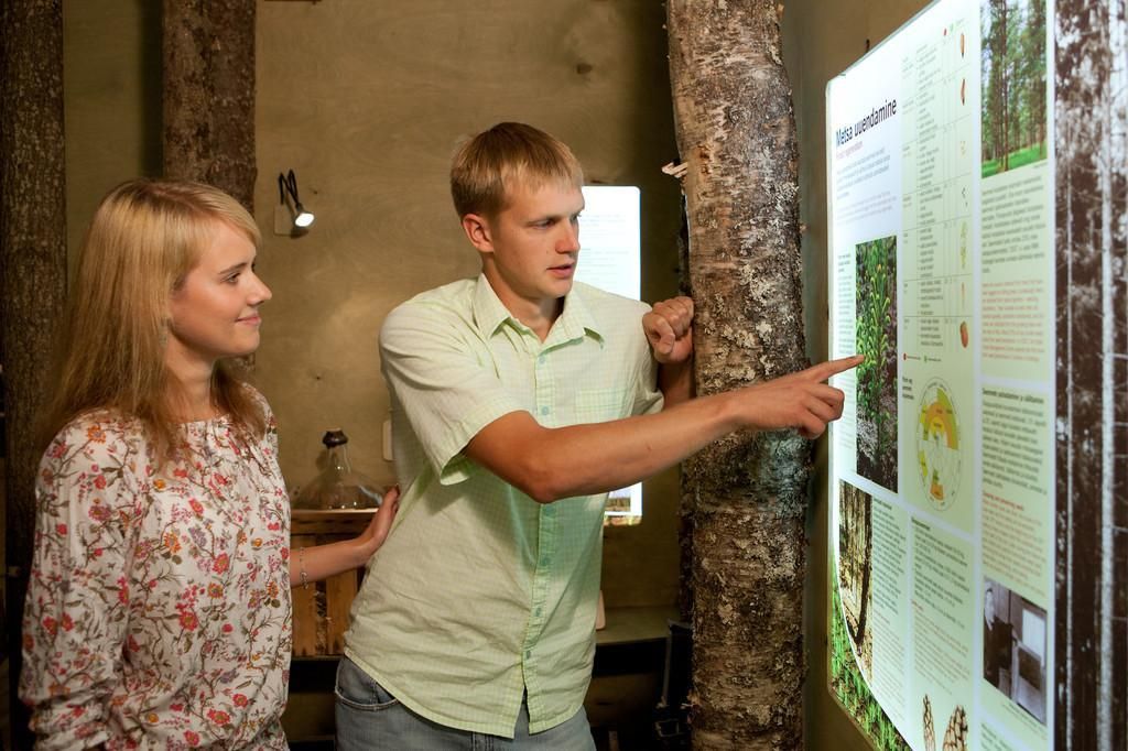 Лесной центр Сагади