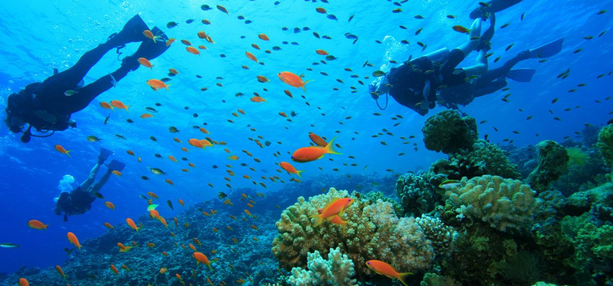 Дайвинг в Колумбии