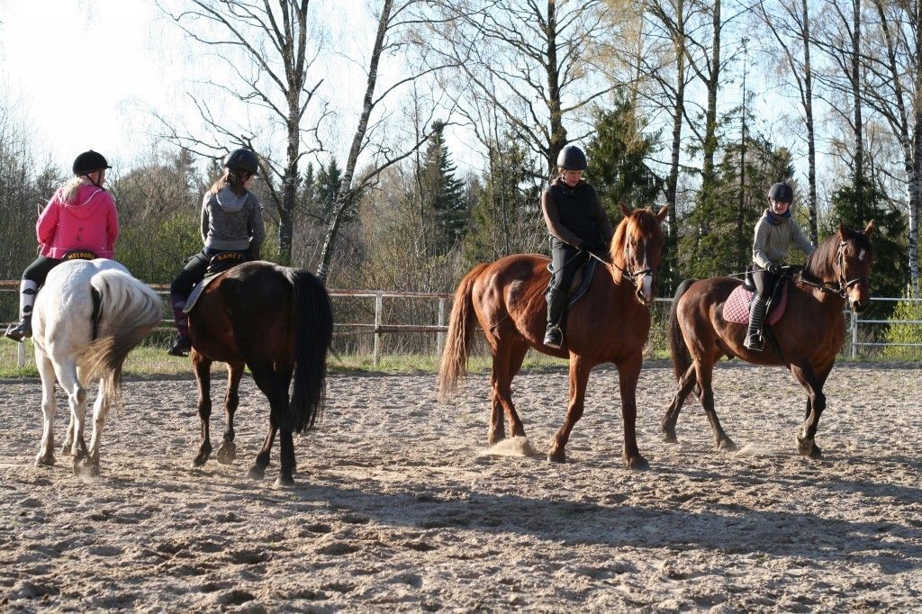 Конюшни Креглени