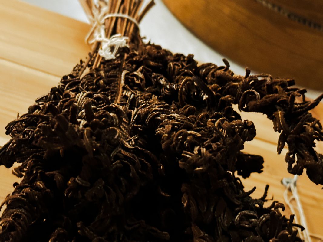 Аптекарский музей во Вроцлаве