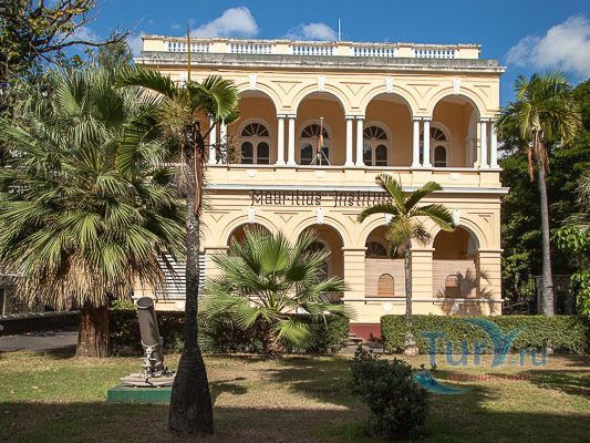 Музей естественной истории