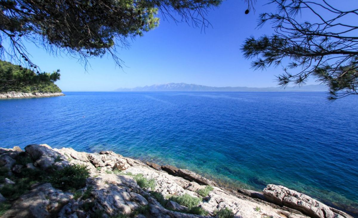 Залив Пелиновик