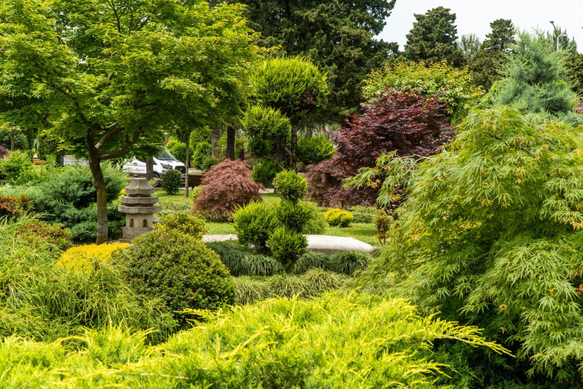 Японский сад в Батуми