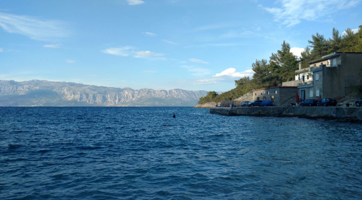 Залив Бристова