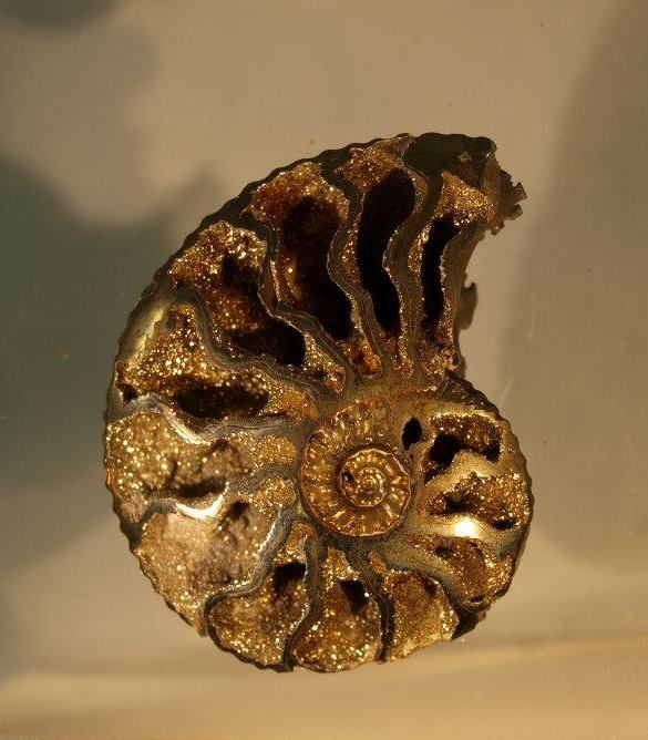 Geosvět – галерея минералов и ископаемых