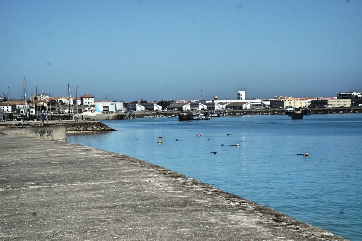 Гавань Пениши