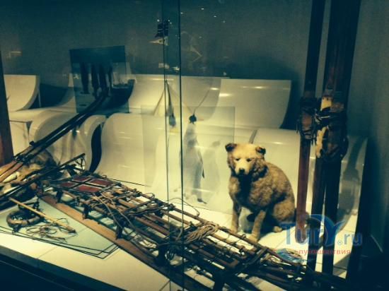 Музей лыж в Осло