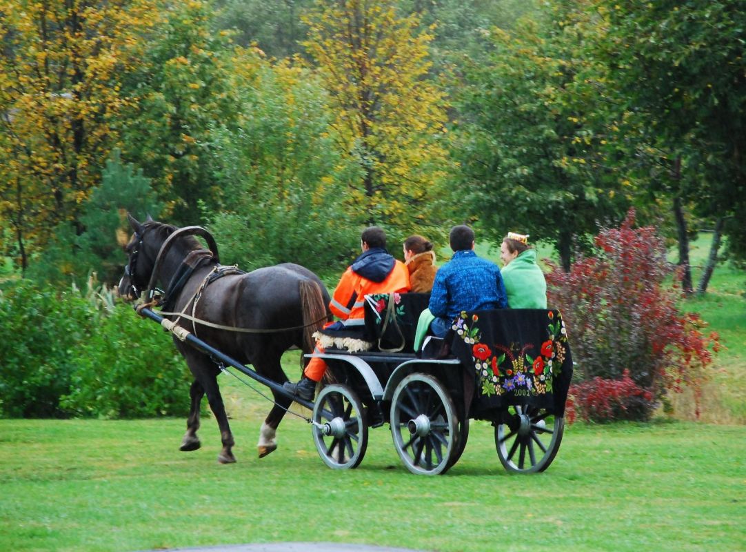 Центр верховой езды Maria