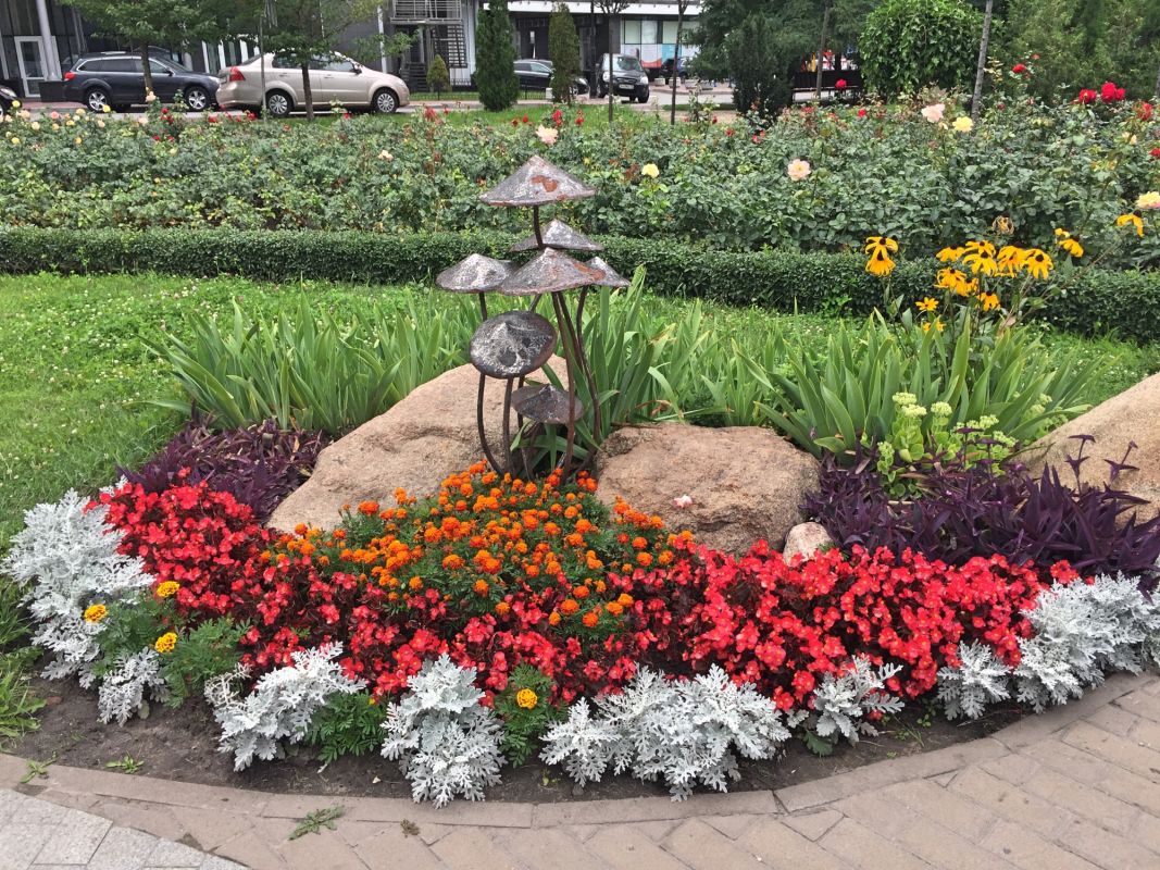 Сад камней на Оболони