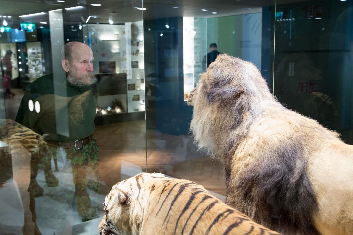 Музей естественной истории Тартуского университета