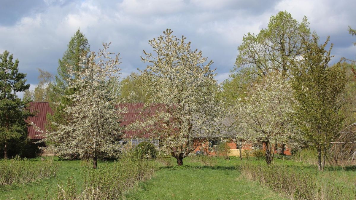 Винный хутор Яристе