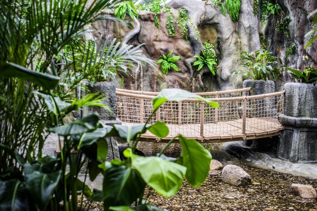 Дом бабочек Papilonia