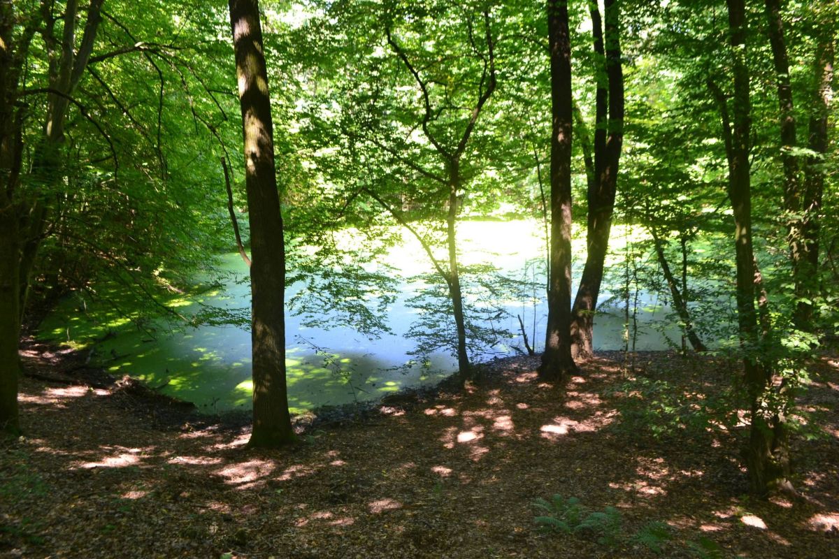 Природный заповедник Мораско Метеорит