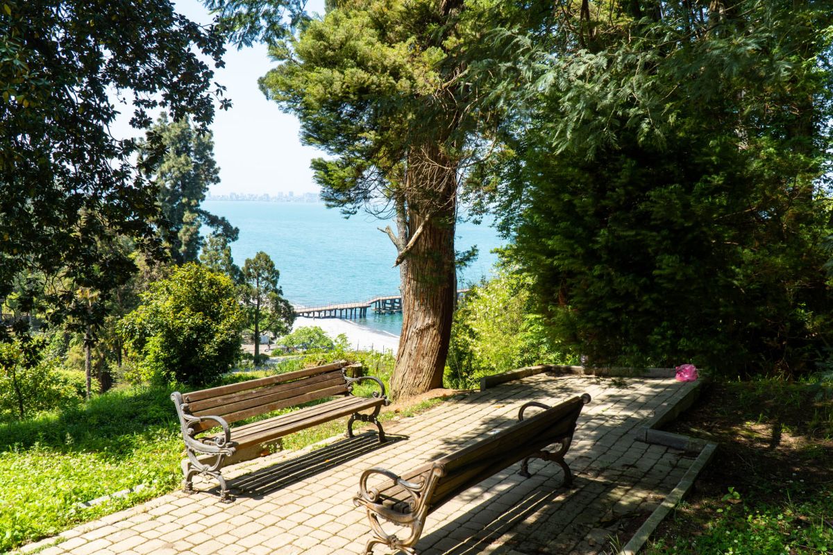 Батумский ботанический сад