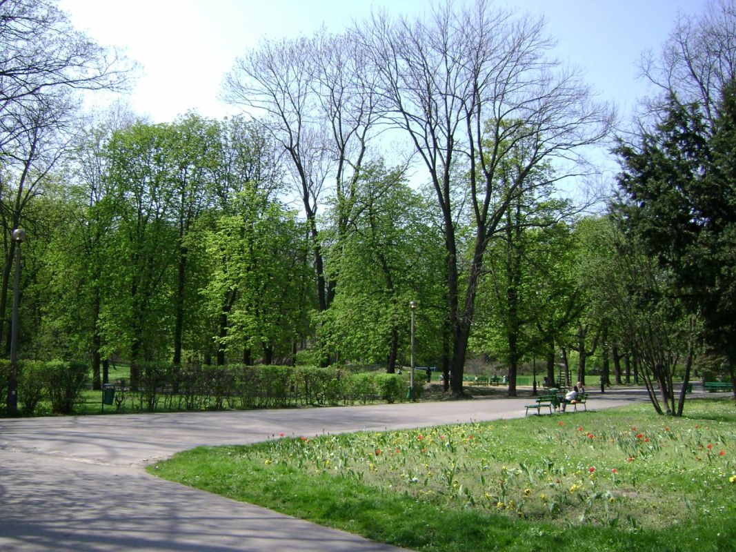 Парк Беднарского