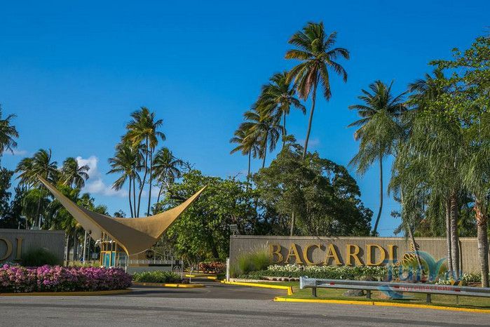 Ромовый Завод Бакарди